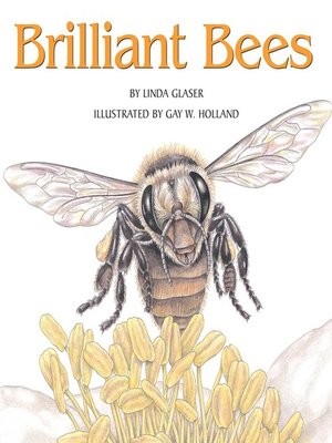 cover image of Brilliant Bees